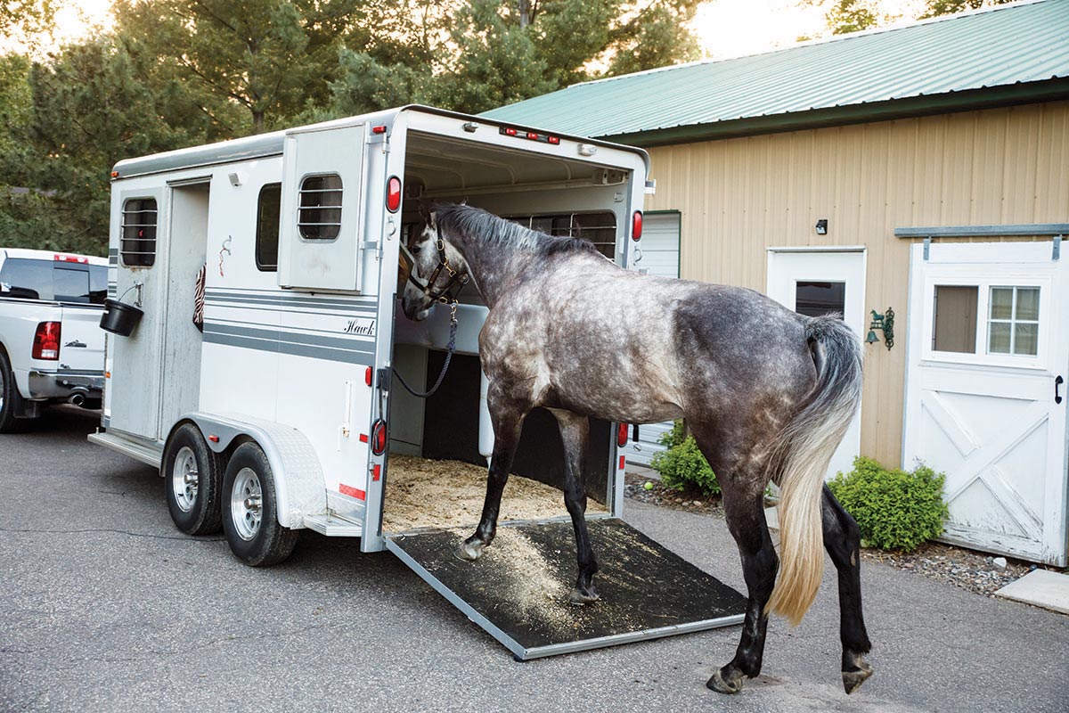 Selecting a Horse Trailer to Match Your Desires