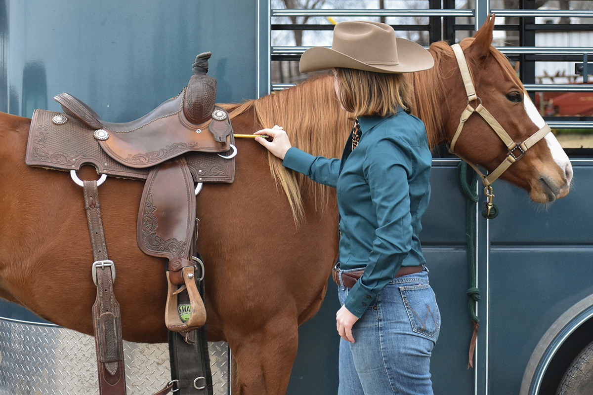 The whole thing You Should Know About Saddle Changing into