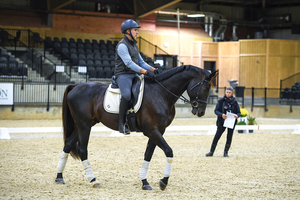 Try a Dressage Journey a Test Clinic