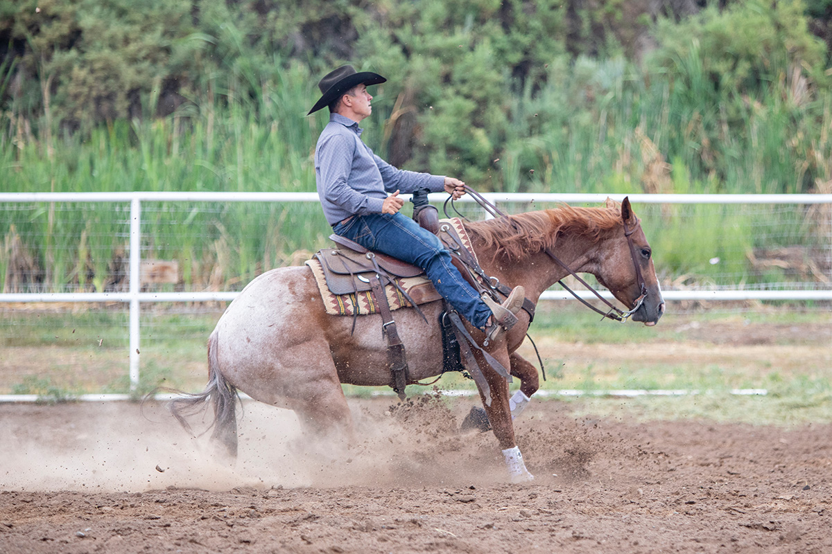 Reining and Cow Horse Stops: What’s the Distinction?