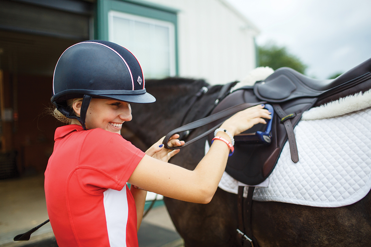 A Driving Helmet for Every Equestrian