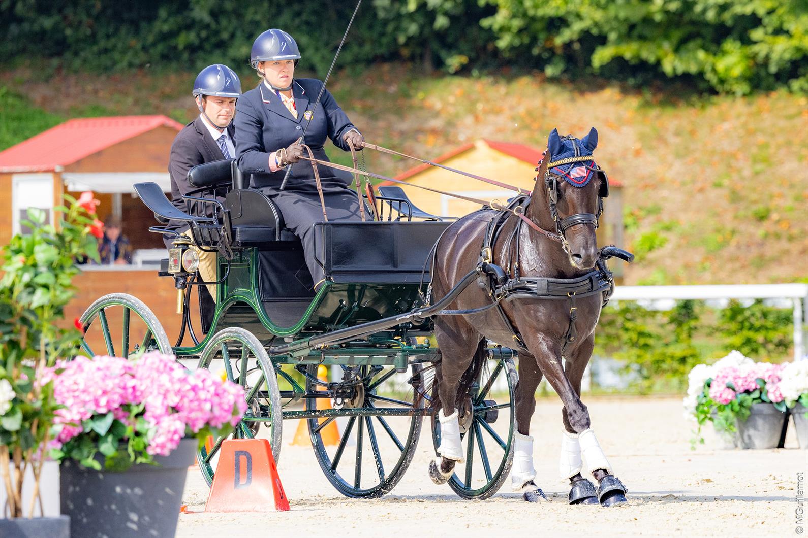 U.S. Driving Workforce at 2024 FEI Driving World Championship