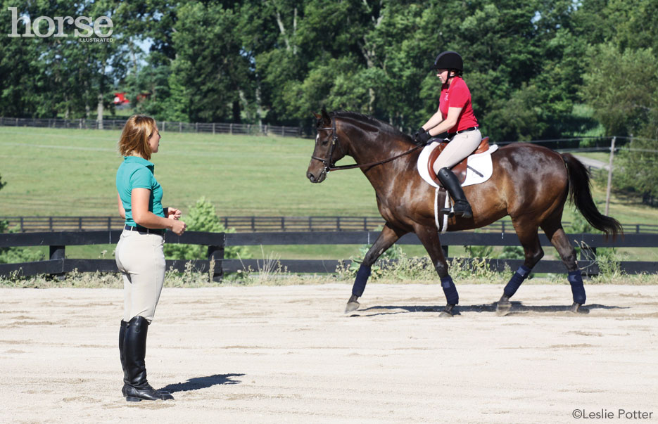 Driving Courses, Leasing or Proudly proudly owning a Horse