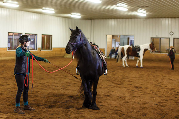 Getting the Most Out of Attending a Horse Clinic