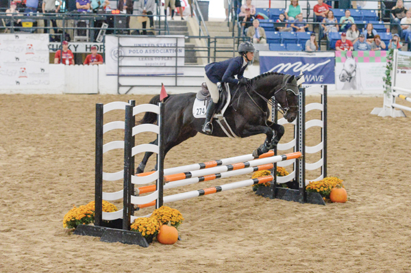 Thoroughbred Makeover 2025: New Format